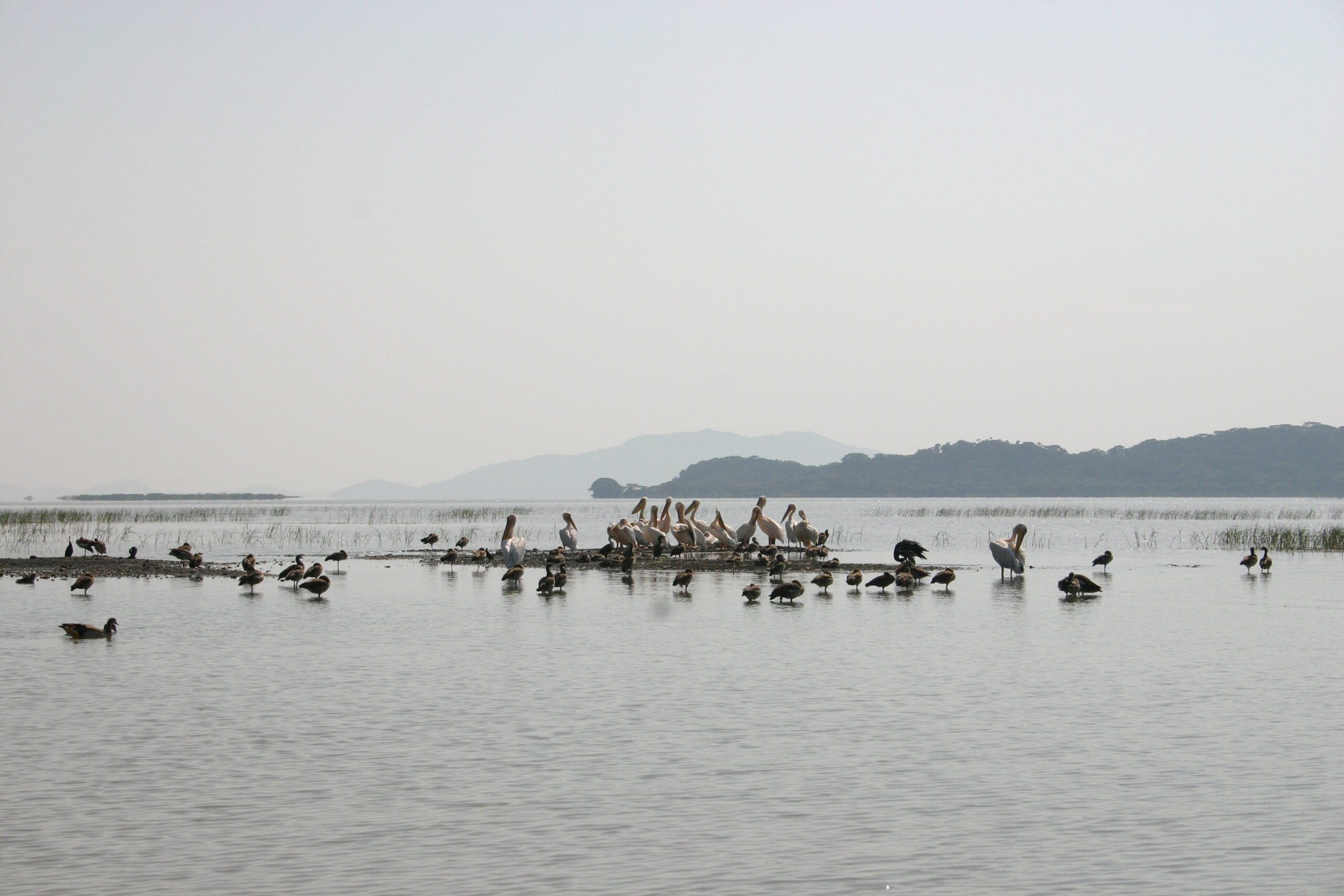 Lake Ziway & Tullu Gudo Monastery – Day Trip in Ethiopia