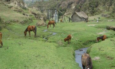 Lake Wenchi – A Day of Trekking, Horseback Riding & Boat Excursions in Ethiopia