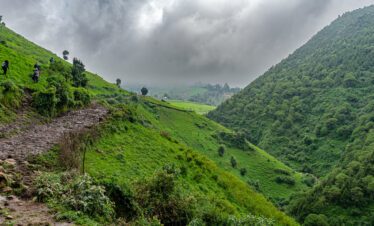 Menagesha Suba Forest Park – Day Trip in Ethiopia