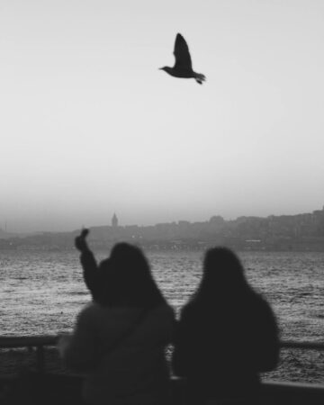 Birdwatching and Nature Walks